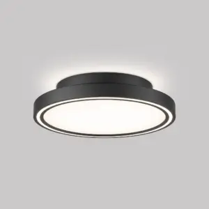 Smart Ceiling Light Fixture, Wi-Fi Controlled